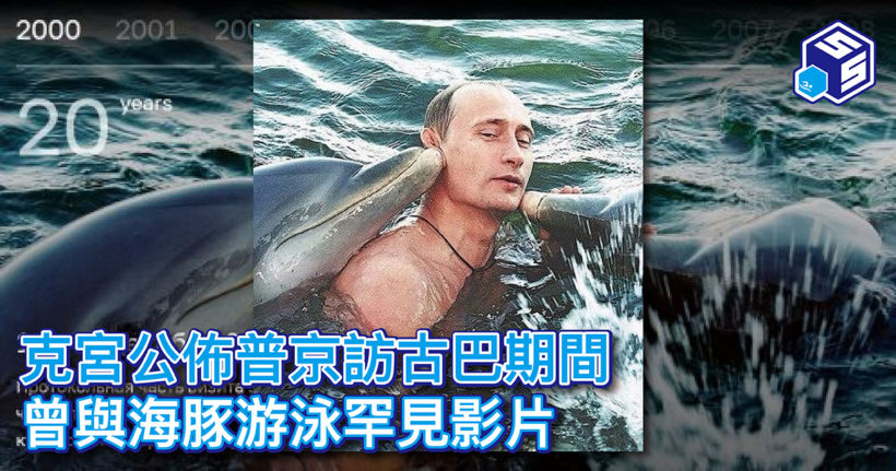 普京與海豚游泳